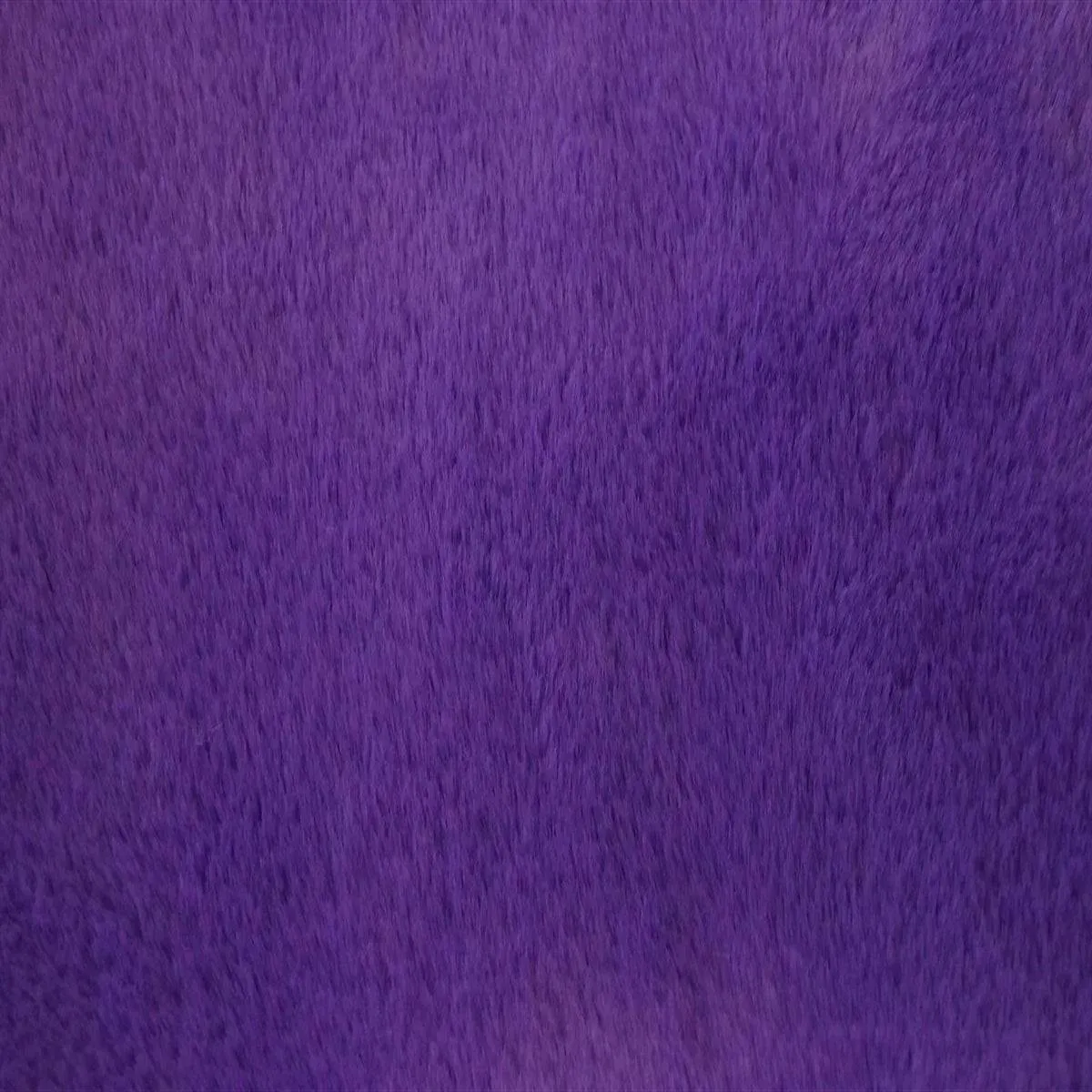 Bunny Thick Minky Fabric By The Roll (20 Yards)