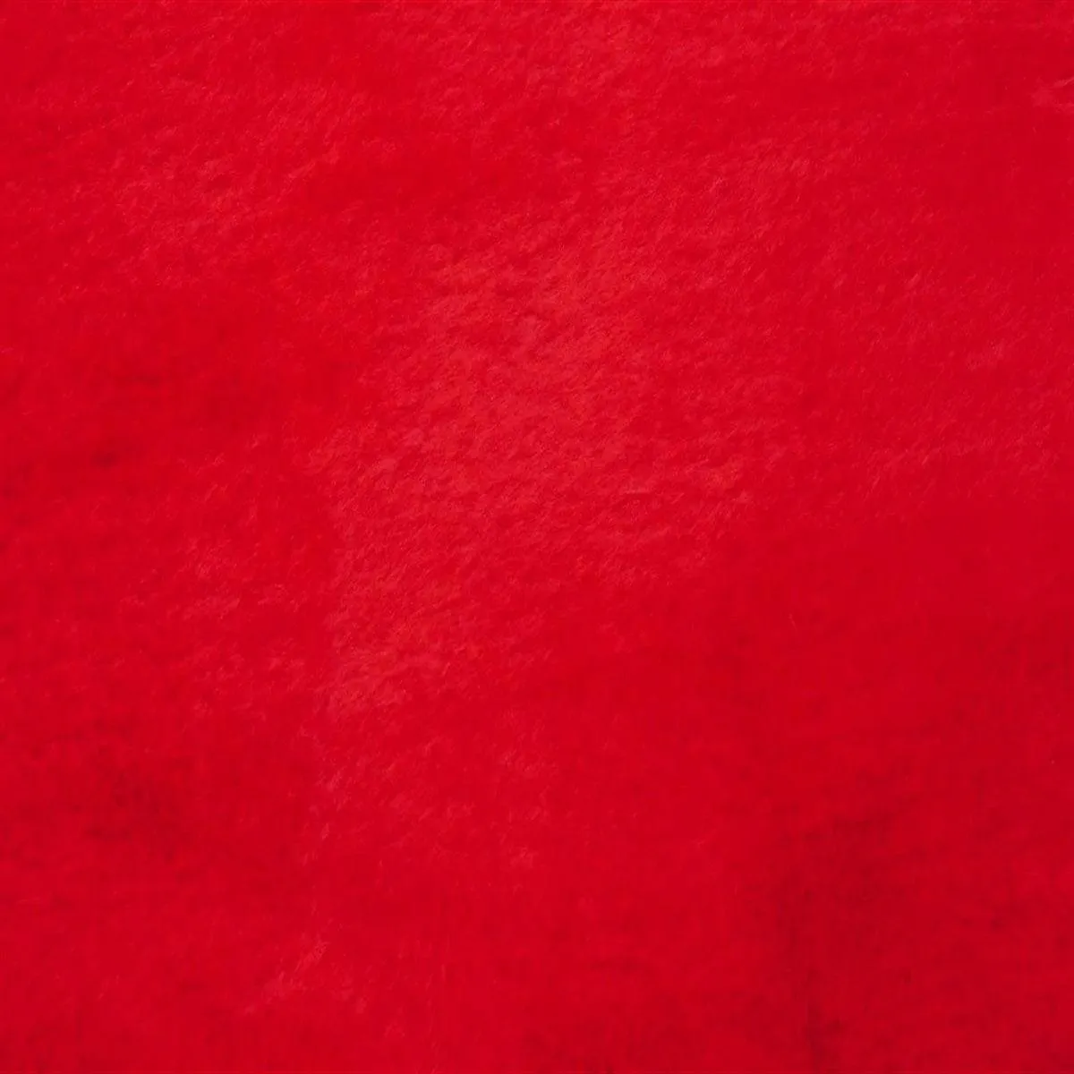 Bunny Thick Minky Fabric By The Roll (20 Yards)